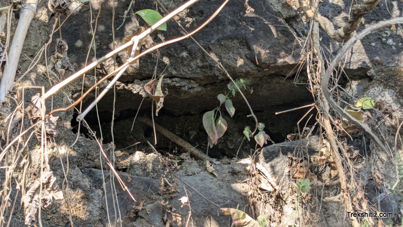 Jangya, Mandvi Kot